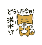 推しを得たオタ犬（個別スタンプ：26）