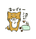 推しを得たオタ犬（個別スタンプ：36）