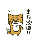 推しを得たオタ犬（個別スタンプ：40）