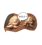 り1え（個別スタンプ：2）