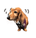 めるさんスタンプ（個別スタンプ：6）
