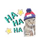 鈴木家の猫たち（個別スタンプ：9）