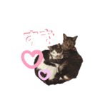 たるはなうみ vol.2（個別スタンプ：4）