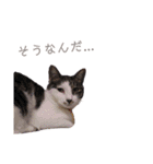 たるはなうみ vol.2（個別スタンプ：5）