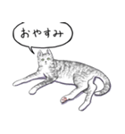 いいネコキャット（日本語版）（個別スタンプ：8）