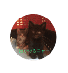 寝子(ねこ)＆起子(おこ)ニャン（個別スタンプ：3）