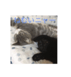 寝子(ねこ)＆起子(おこ)ニャン（個別スタンプ：4）
