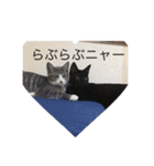 寝子(ねこ)＆起子(おこ)ニャン（個別スタンプ：5）