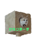 じゃりくんの日常（個別スタンプ：8）