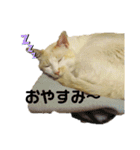 じゃりくんの日常（個別スタンプ：9）