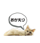 じゃりくんの日常（個別スタンプ：39）