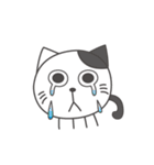 まんまる猫たち（個別スタンプ：14）