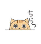 まんまる猫たち（個別スタンプ：16）
