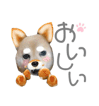 犬と猫と犬と。（個別スタンプ：6）