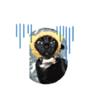 さおたんちの猫（個別スタンプ：6）