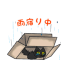 黒猫(ネロ4)（個別スタンプ：26）