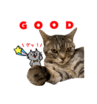 ねこのあみちゃん2（個別スタンプ：10）