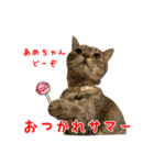 ねこのあみちゃん2（個別スタンプ：12）