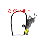 ねこのあみちゃん2（個別スタンプ：14）