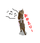 ねこのあみちゃん2（個別スタンプ：15）