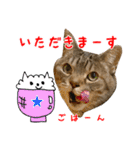 ねこのあみちゃん2（個別スタンプ：19）