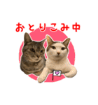 ねこのあみちゃん2（個別スタンプ：27）