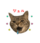 ねこのあみちゃん2（個別スタンプ：28）