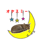 ねこのあみちゃん2（個別スタンプ：32）