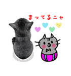 ねこのあみちゃん2（個別スタンプ：34）