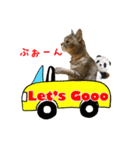 ねこのあみちゃん2（個別スタンプ：35）