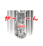ねこのあみちゃん2（個別スタンプ：36）