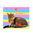 ねこのあみちゃん2（個別スタンプ：40）