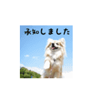 そらまめとひまわり3（個別スタンプ：6）