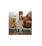 そらまめとひまわり3（個別スタンプ：20）