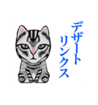 猫シュシュシュ、なな（個別スタンプ：1）