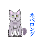 猫シュシュシュ、なな（個別スタンプ：2）