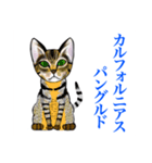 猫シュシュシュ、なな（個別スタンプ：3）