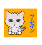 猫シュシュシュ、なな（個別スタンプ：4）