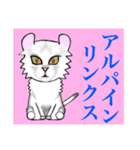 猫シュシュシュ、なな（個別スタンプ：7）