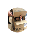 出来たー（個別スタンプ：8）