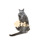 とりあえずの8個です（個別スタンプ：2）