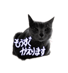 とりあえずの8個です（個別スタンプ：4）