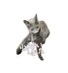 とりあえずの8個です（個別スタンプ：8）
