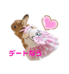 kinakoはRabbit②（個別スタンプ：1）