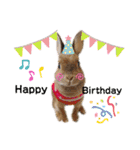 kinakoはRabbit②（個別スタンプ：2）