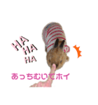 kinakoはRabbit②（個別スタンプ：6）