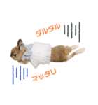 kinakoはRabbit②（個別スタンプ：7）