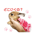 kinakoはRabbit②（個別スタンプ：9）