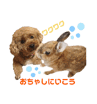 kinakoはRabbit②（個別スタンプ：15）