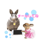 kinakoはRabbit②（個別スタンプ：21）